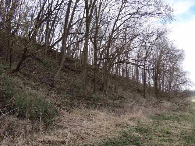 $993,500 | 151.68-acres Rattlesnake Road, Cassville, WI 53806