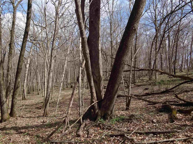 $993,500 | 151.68-acres Rattlesnake Road, Cassville, WI 53806