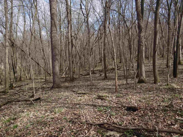 $993,500 | 151.68-acres Rattlesnake Road, Cassville, WI 53806