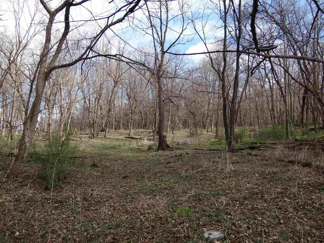 $993,500 | 151.68-acres Rattlesnake Road, Cassville, WI 53806