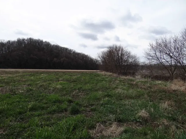 $993,500 | 151.68-acres Rattlesnake Road, Cassville, WI 53806