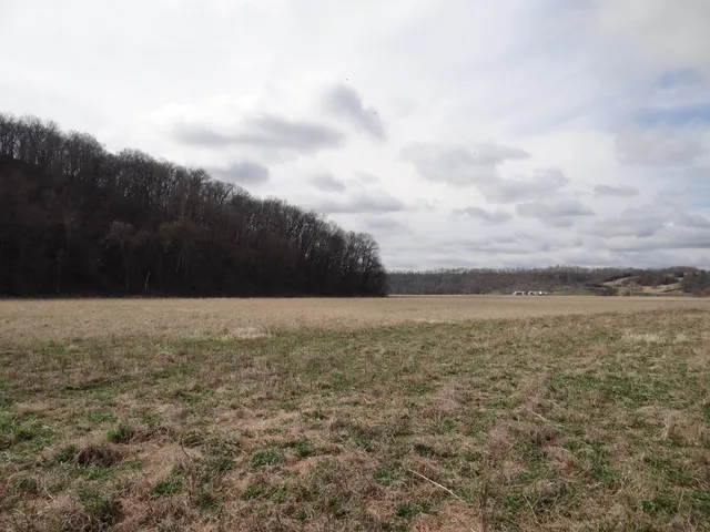 $993,500 | 151.68-acres Rattlesnake Road, Cassville, WI 53806