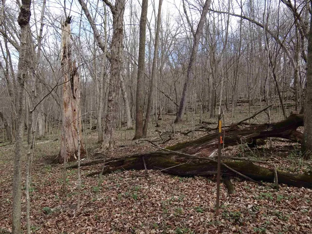 $993,500 | 151.68-acres Rattlesnake Road, Cassville, WI 53806