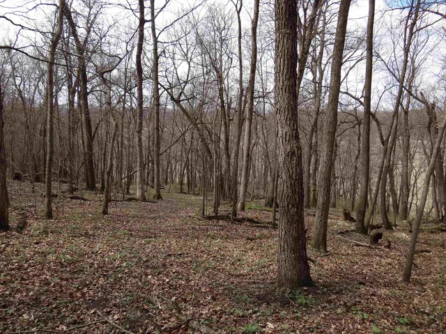$993,500 | 151.68-acres Rattlesnake Road, Cassville, WI 53806