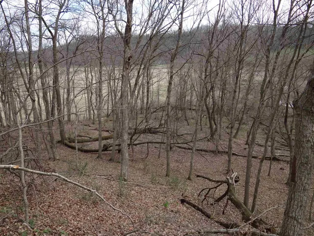 $993,500 | 151.68-acres Rattlesnake Road, Cassville, WI 53806