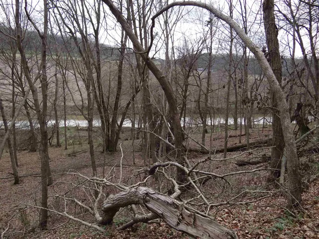 $993,500 | 151.68-acres Rattlesnake Road, Cassville, WI 53806