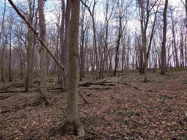 $993,500 | 151.68-acres Rattlesnake Road, Cassville, WI 53806