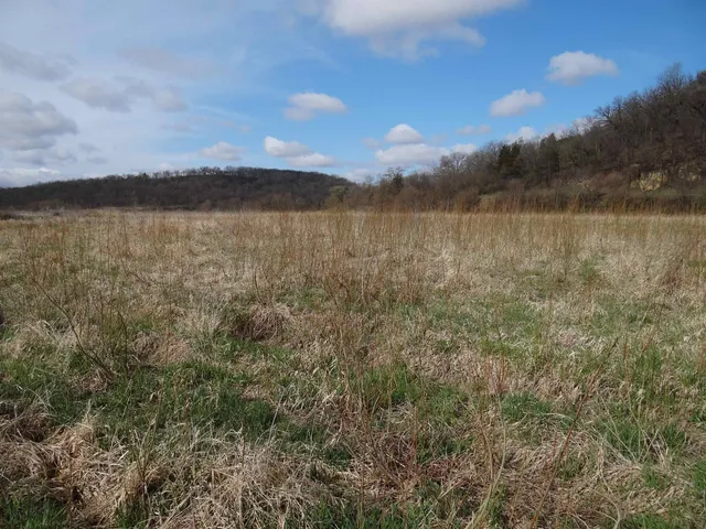 $993,500 | 151.68-acres Rattlesnake Road, Cassville, WI 53806