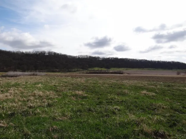 $993,500 | 151.68-acres Rattlesnake Road, Cassville, WI 53806
