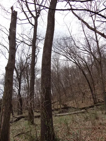 $993,500 | 151.68-acres Rattlesnake Road, Cassville, WI 53806