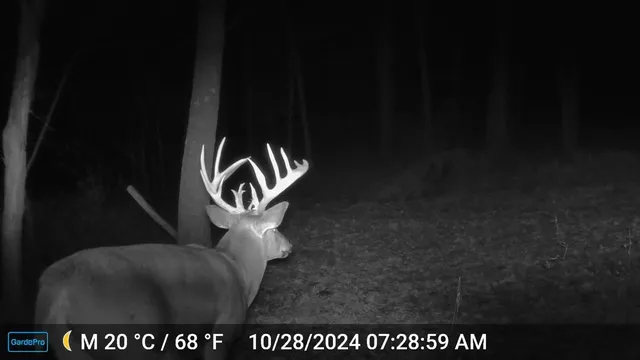 $993,500 | 151.68-acres Rattlesnake Road, Cassville, WI 53806