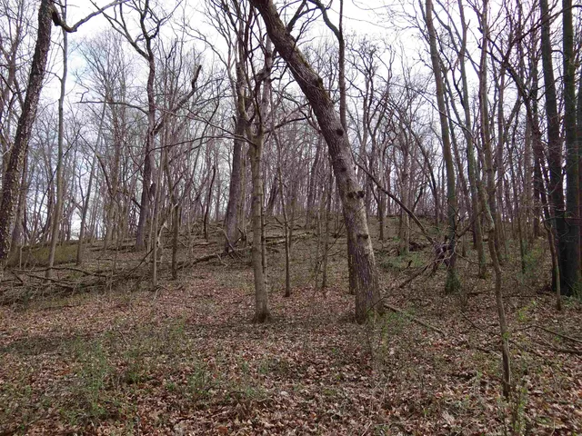 $993,500 | 151.68-acres Rattlesnake Road, Cassville, WI 53806