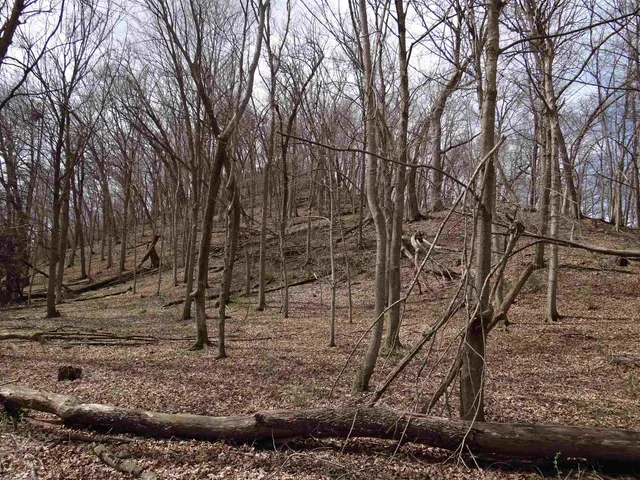 $993,500 | 151.68-acres Rattlesnake Road, Cassville, WI 53806