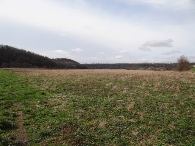 $993,500 | 151.68-acres Rattlesnake Road, Cassville, WI 53806