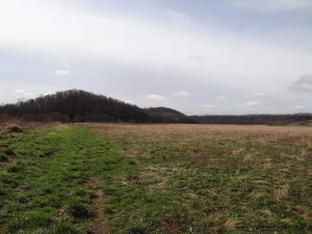$993,500 | 151.68-acres Rattlesnake Road, Cassville, WI 53806