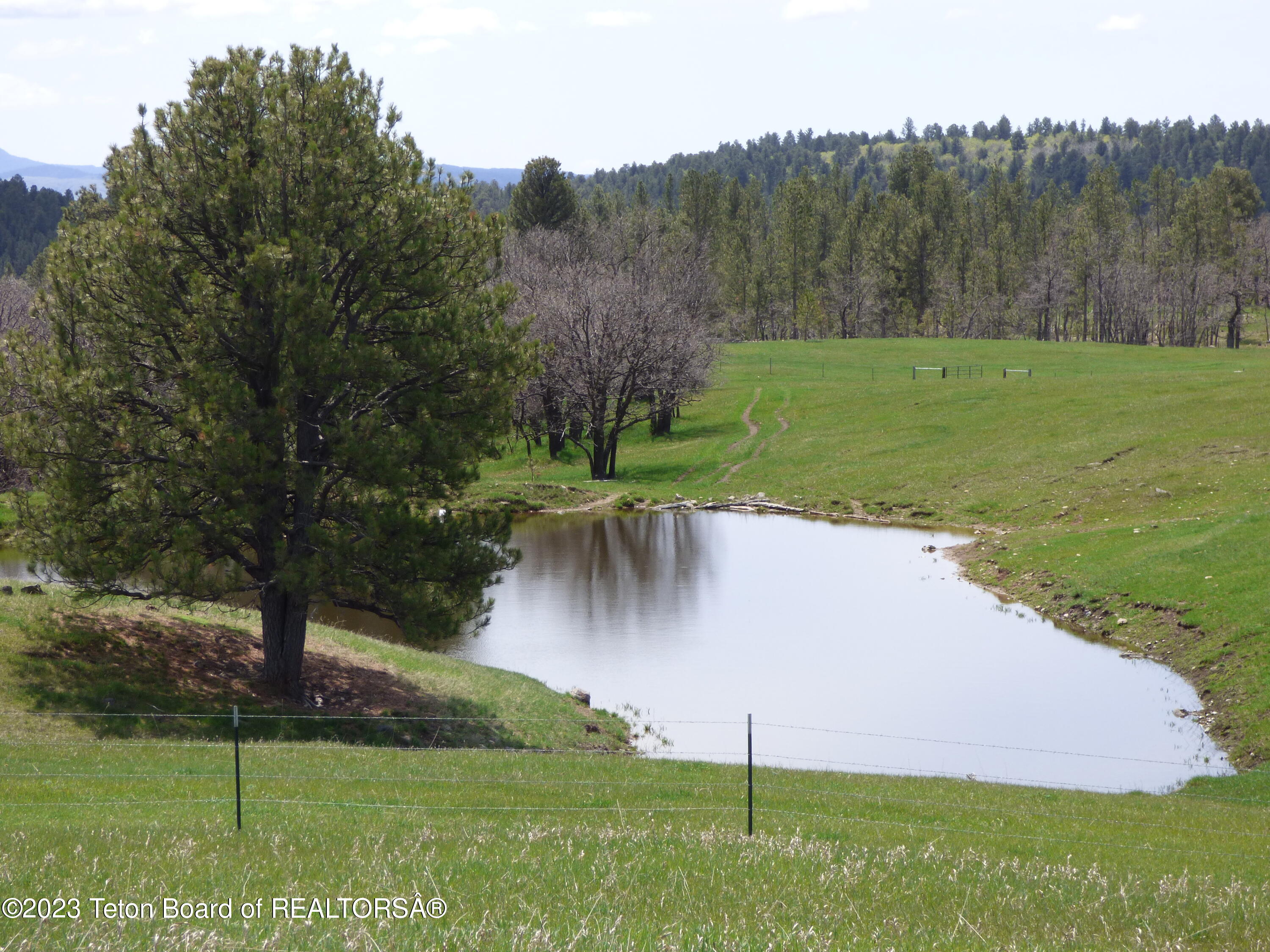 140 Cow Camp Road Sundance, WY 82729 - Photo 101 of 103 P1040403