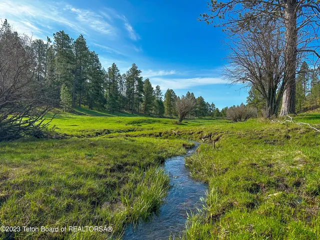$15,950,000 | 140 Cow Camp Road, Sundance, WY 82729