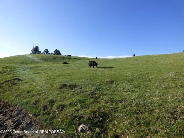 $15,950,000 | 140 Cow Camp Road, Sundance, WY 82729