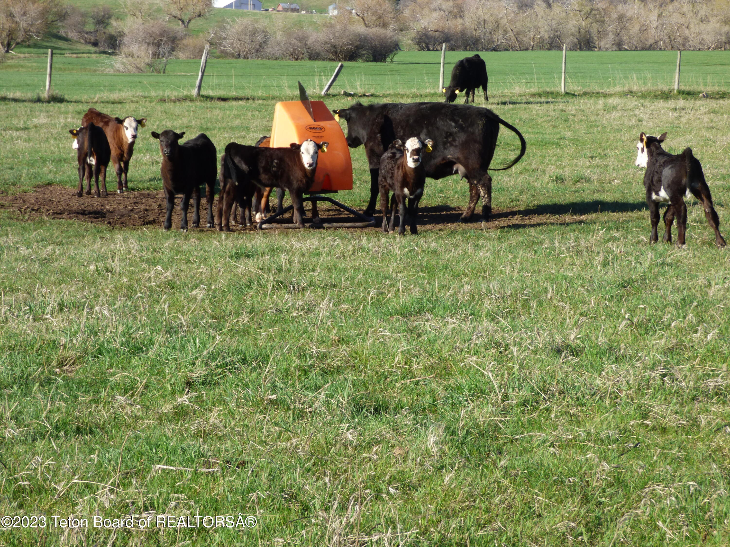 140 Cow Camp Road Sundance, WY 82729 - Photo 41 of 103 P1040175