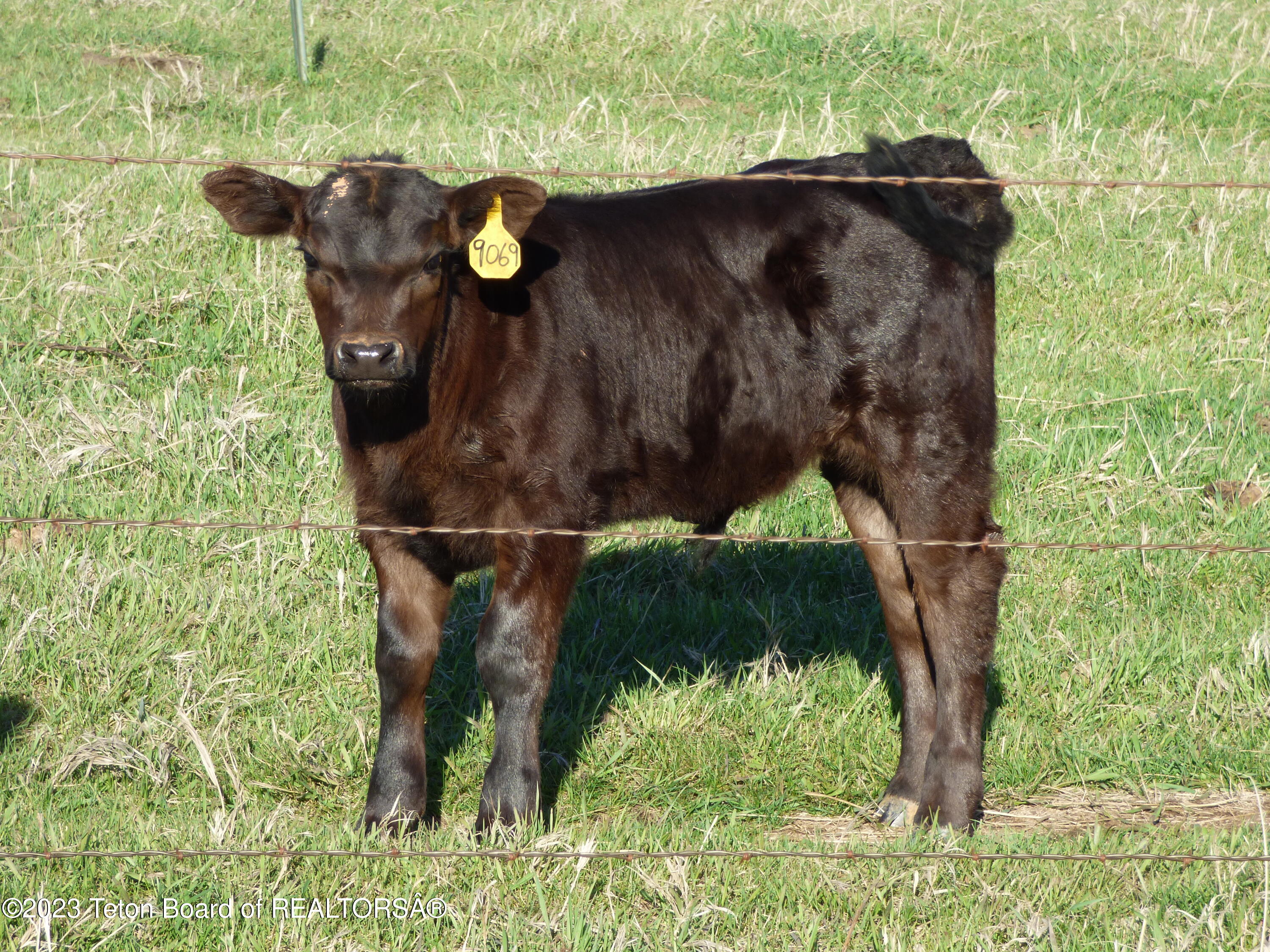 140 Cow Camp Road Sundance, WY 82729 - Photo 42 of 103 P1040174