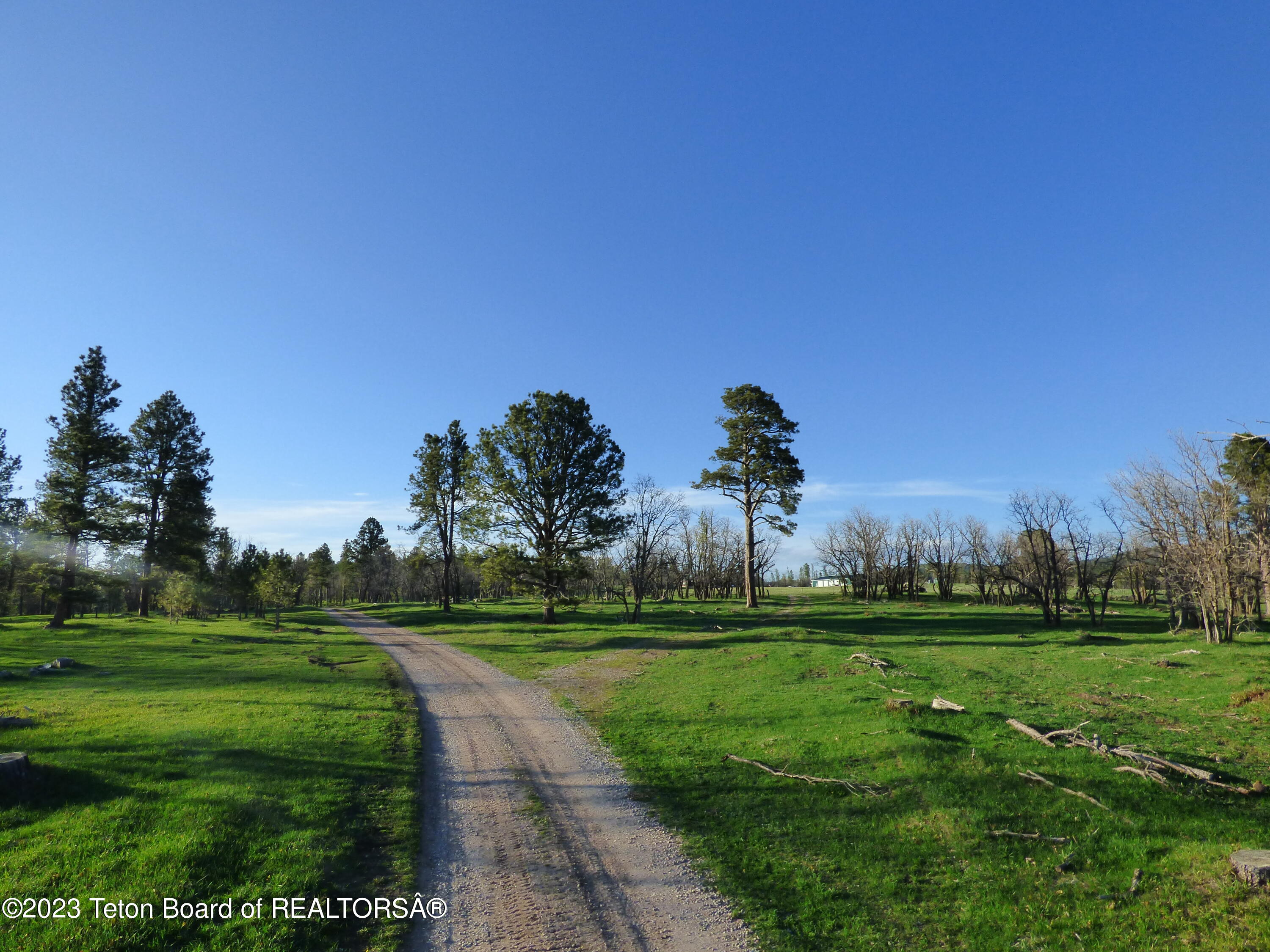 140 Cow Camp Road Sundance, WY 82729 - Photo 54 of 103 P1040220