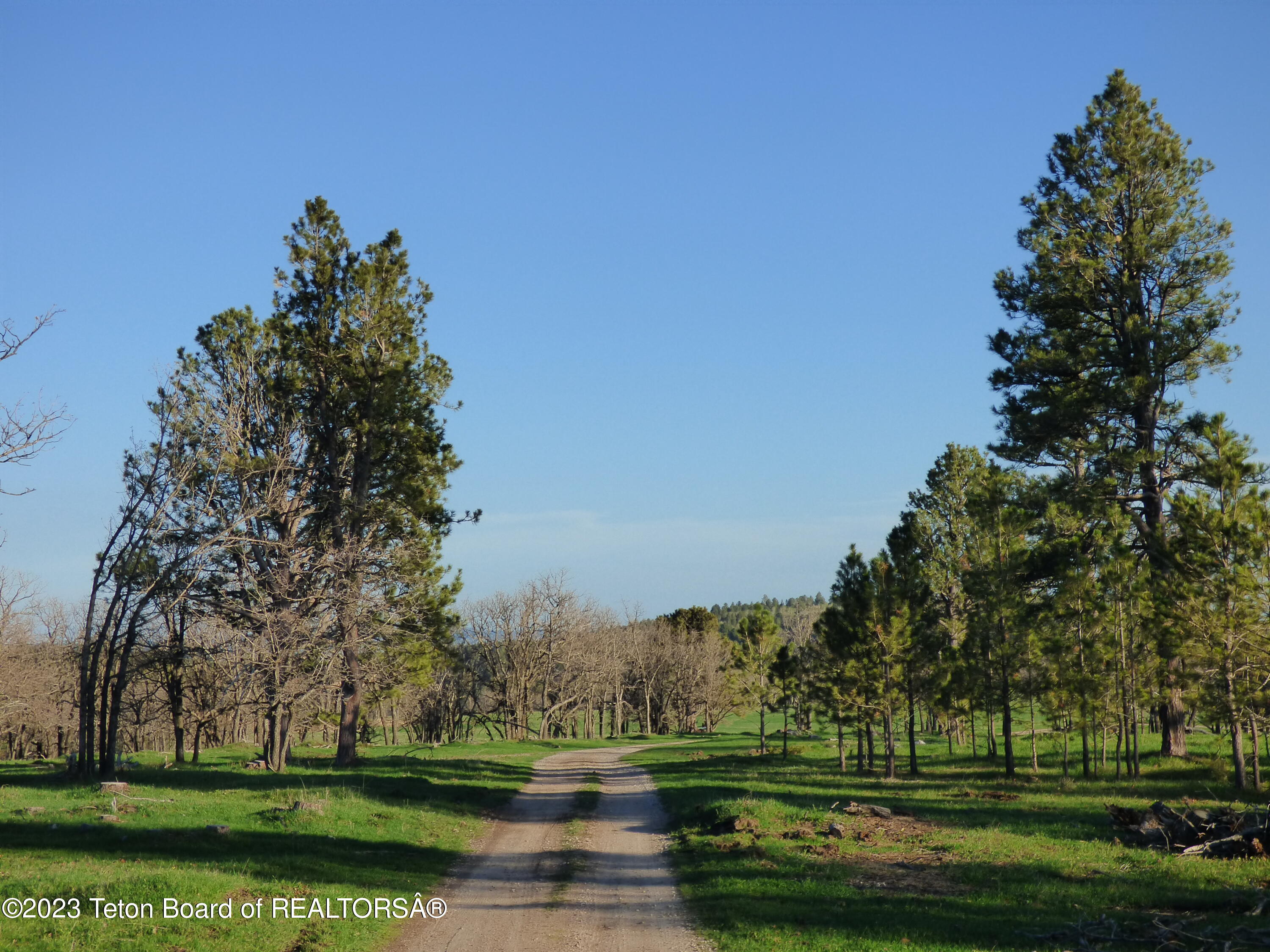 140 Cow Camp Road Sundance, WY 82729 - Photo 56 of 103 P1040225