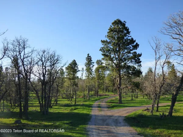 $15,950,000 | 140 Cow Camp Road, Sundance, WY 82729