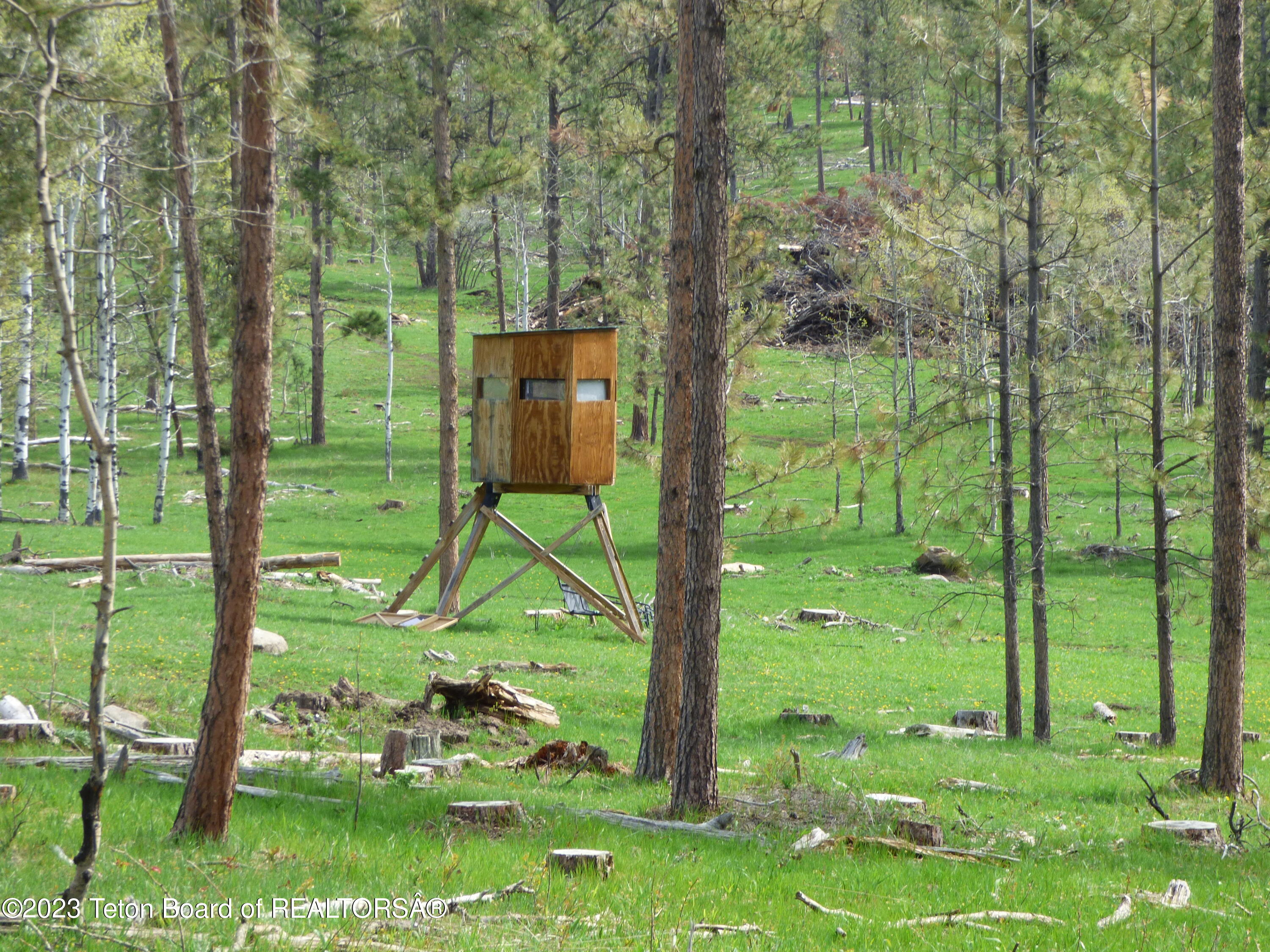 140 Cow Camp Road Sundance, WY 82729 - Photo 80 of 103 P1040351