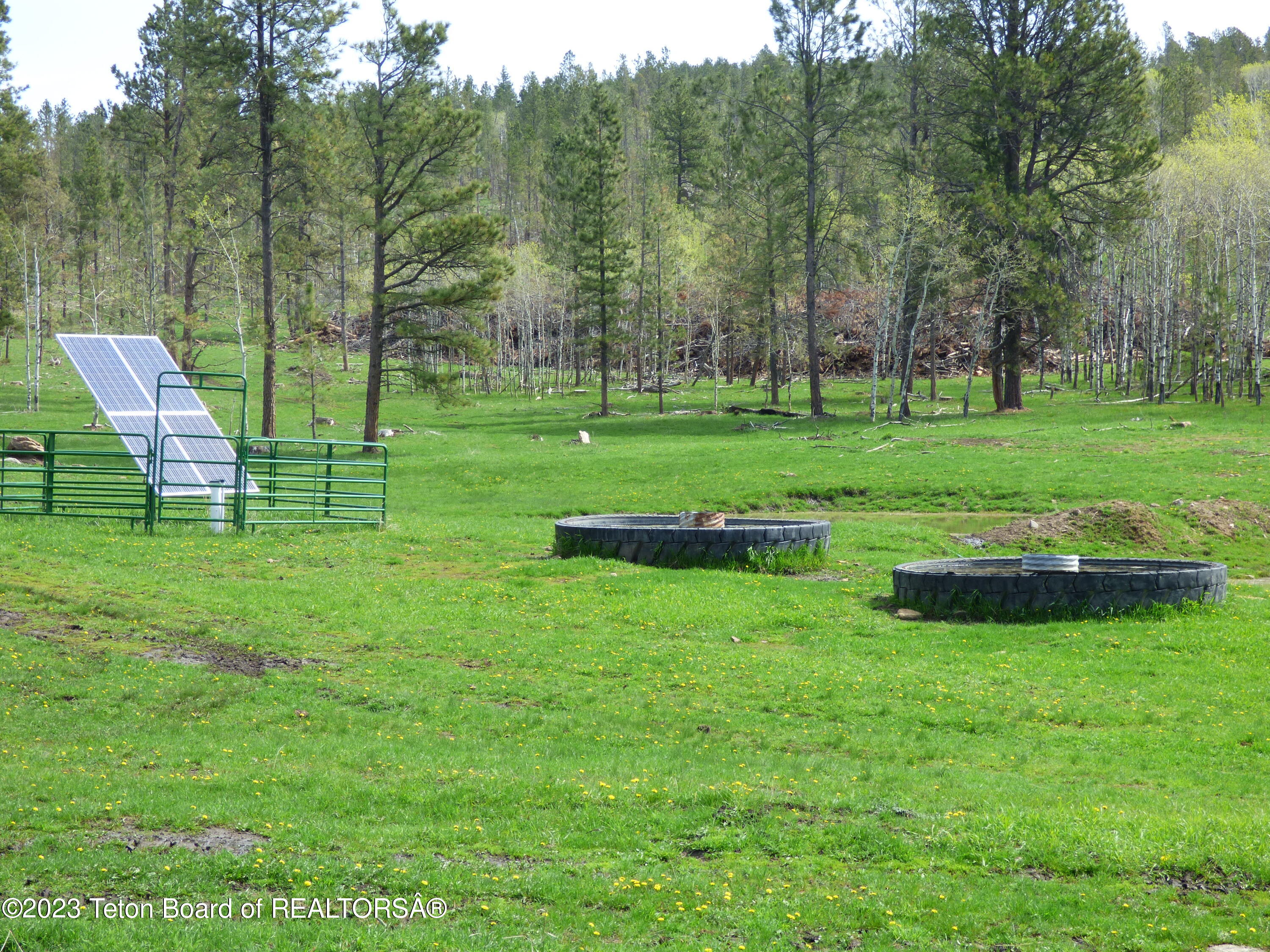 140 Cow Camp Road Sundance, WY 82729 - Photo 81 of 103 P1040357