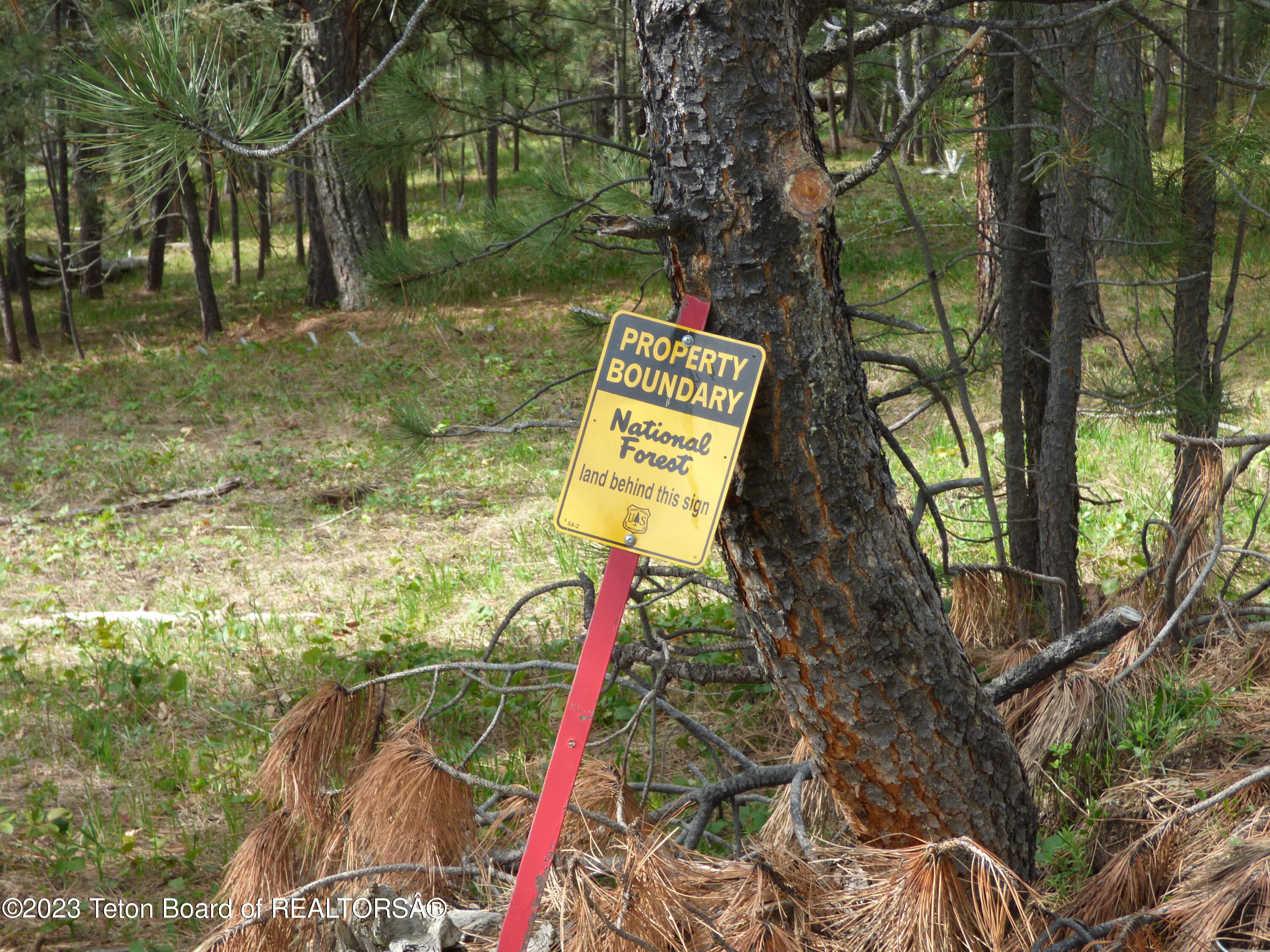 140 Cow Camp Road Sundance, WY 82729 - Photo 82 of 103 P1040359