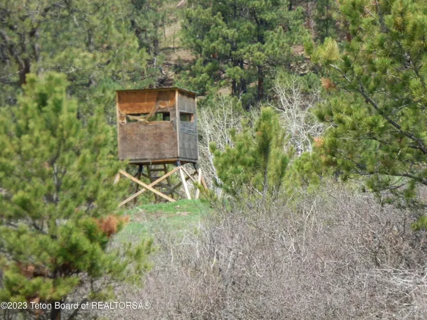 $15,950,000 | 140 Cow Camp Road, Sundance, WY 82729