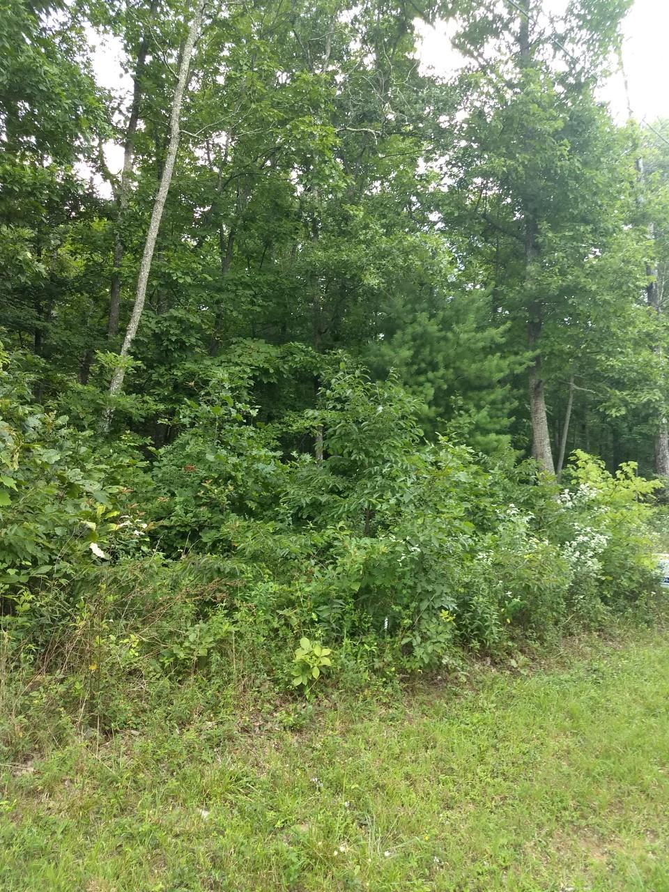 132 Manchester Road Crossville, TN 38558 - Photo 1 of 6 Manchester6