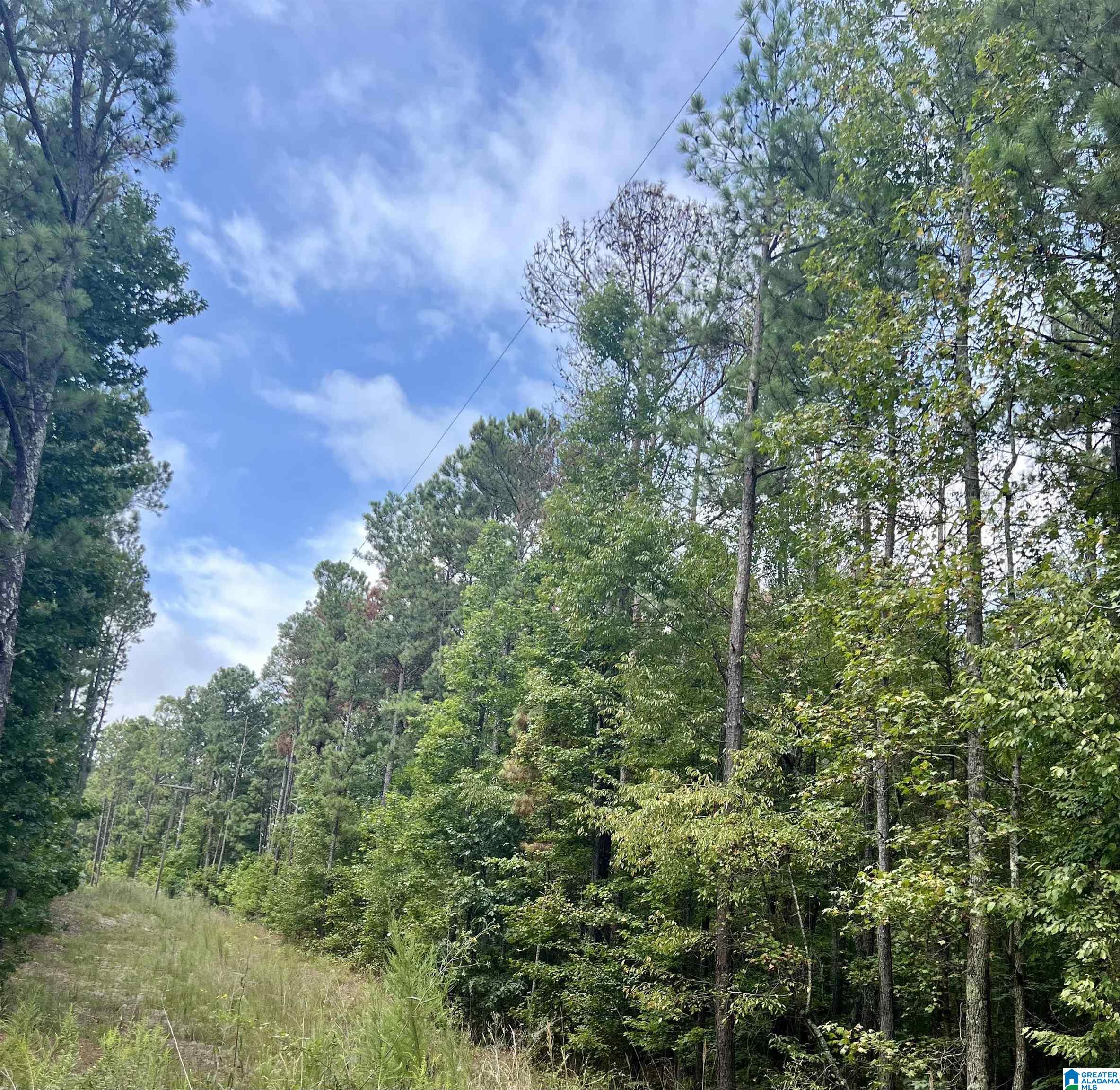 252 County Road 252 Wedowee, AL 36278 - Photo 8 of 9