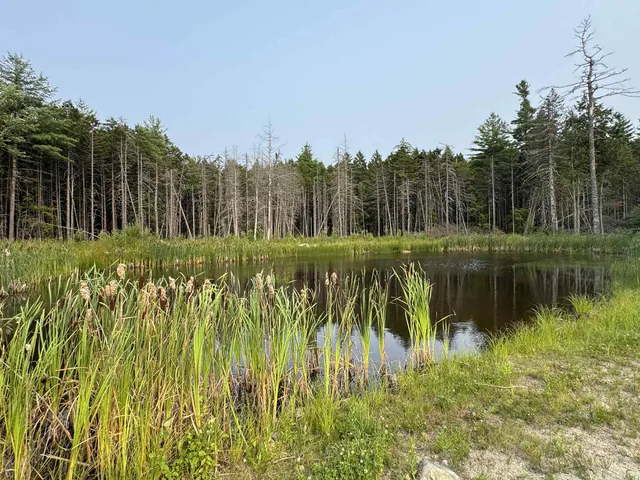 $275,000 | 10 Pine Hill Drive, Wesley, ME 04686