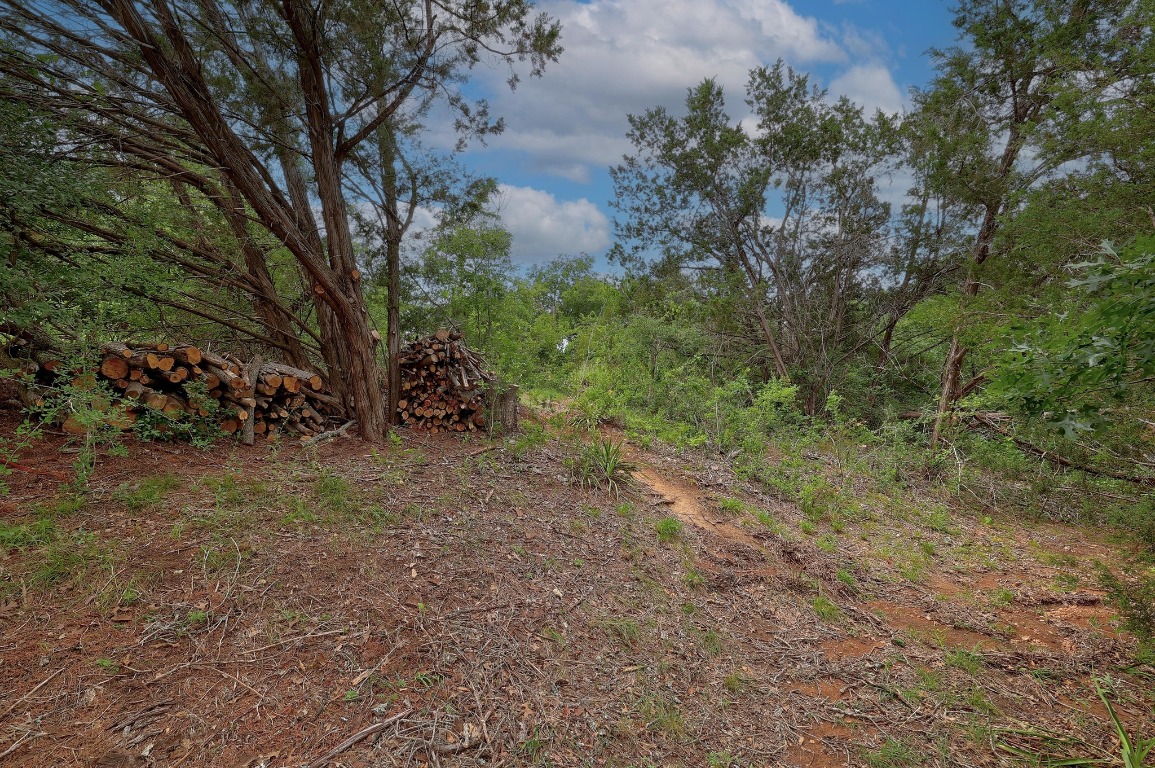 1620 San Gabriel Ranch Road Liberty Hill, TX 78642 - Photo 12 of 34 a view of a forest with trees in the background