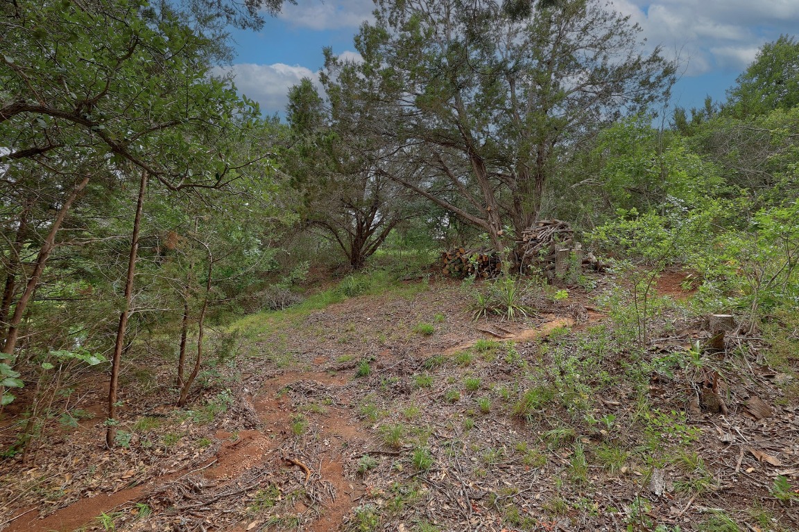 1620 San Gabriel Ranch Road Liberty Hill, TX 78642 - Photo 13 of 34 a view of a forest with a tree