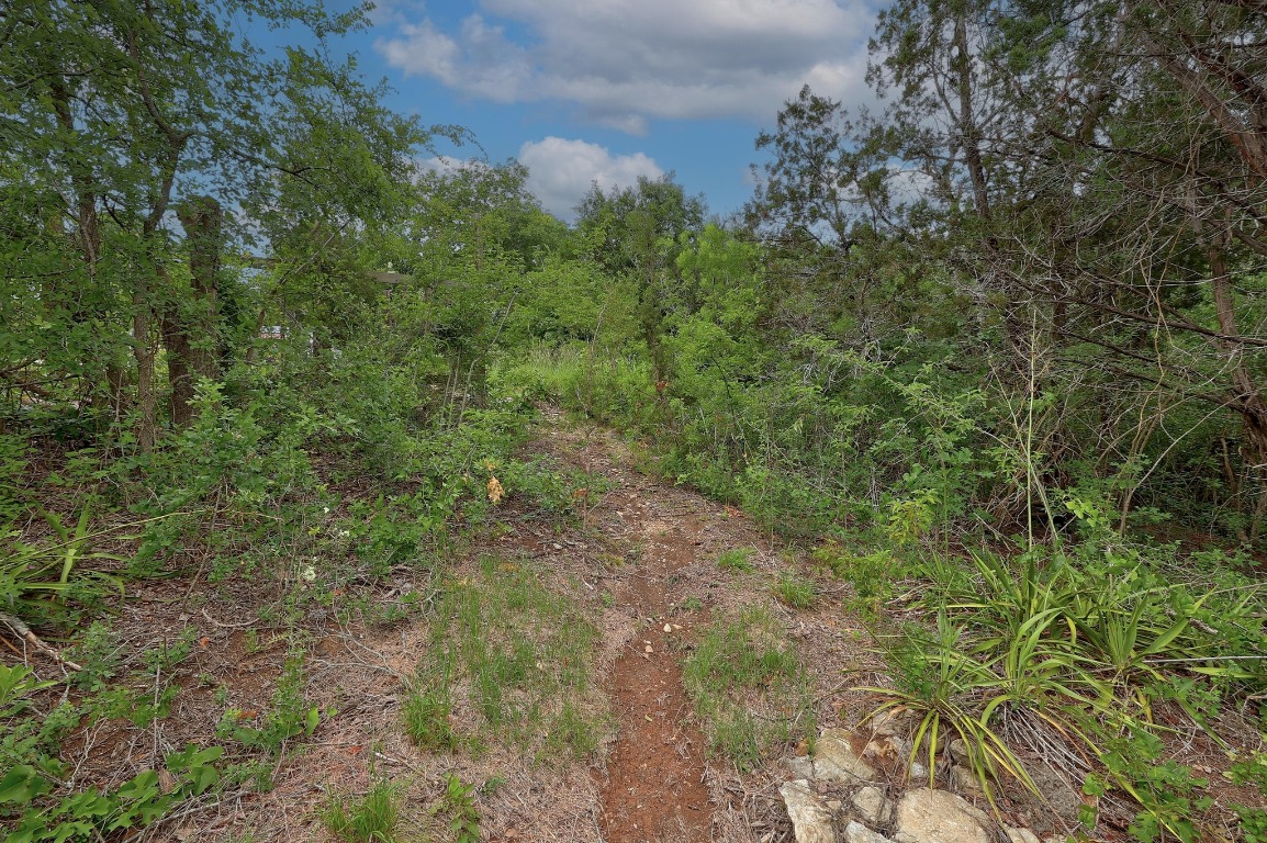 1620 San Gabriel Ranch Road Liberty Hill, TX 78642 - Photo 14 of 34 a view of a forest with lots of trees