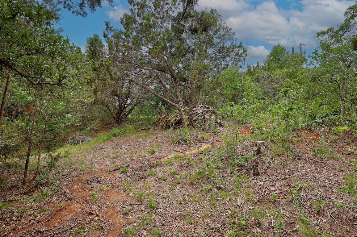 1620 San Gabriel Ranch Road Liberty Hill, TX 78642 - Photo 15 of 34 a view of a yard with a tree