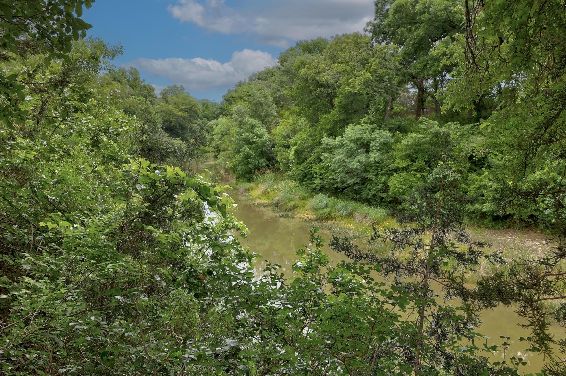 1620 San Gabriel Ranch Road Liberty Hill, TX 78642 - Photo 18 of 34 a view of a forest