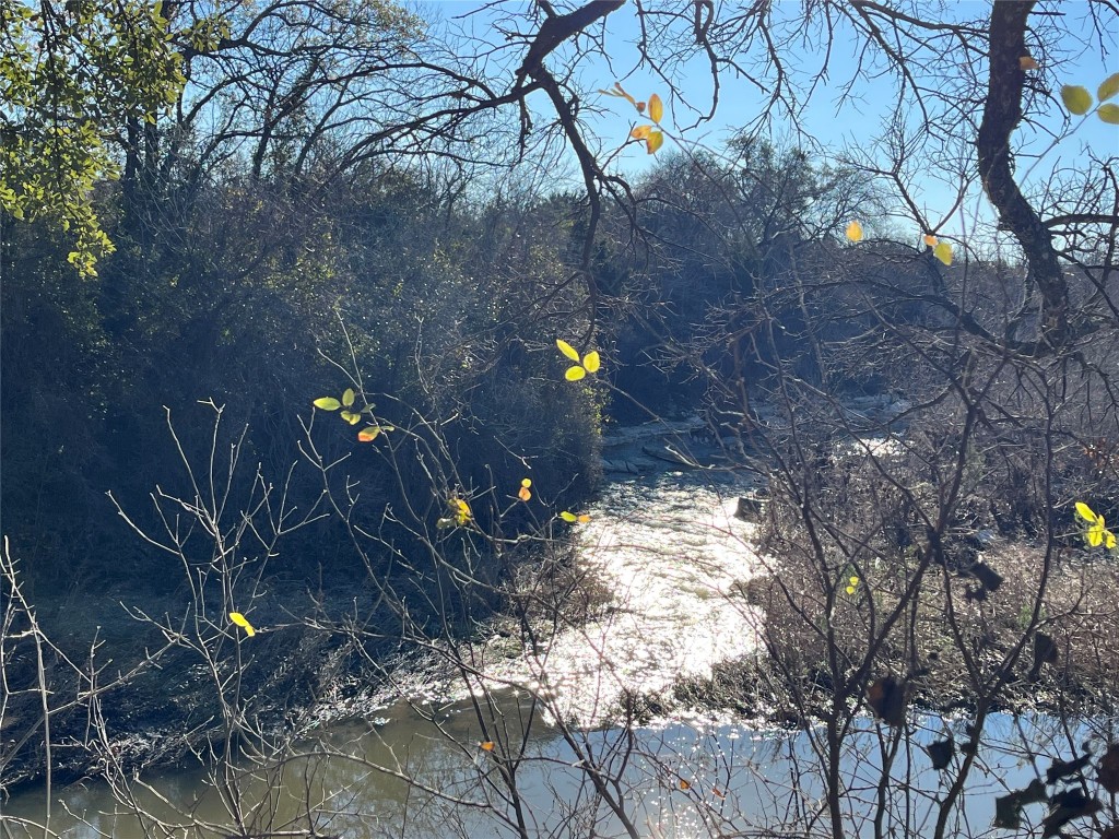 1620 San Gabriel Ranch Road Liberty Hill, TX 78642 - Photo 28 of 34 a backyard of a house