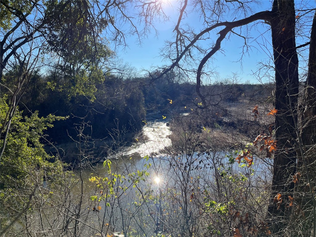 1620 San Gabriel Ranch Road Liberty Hill, TX 78642 - Photo 29 of 34 a view of a yard with plants and trees