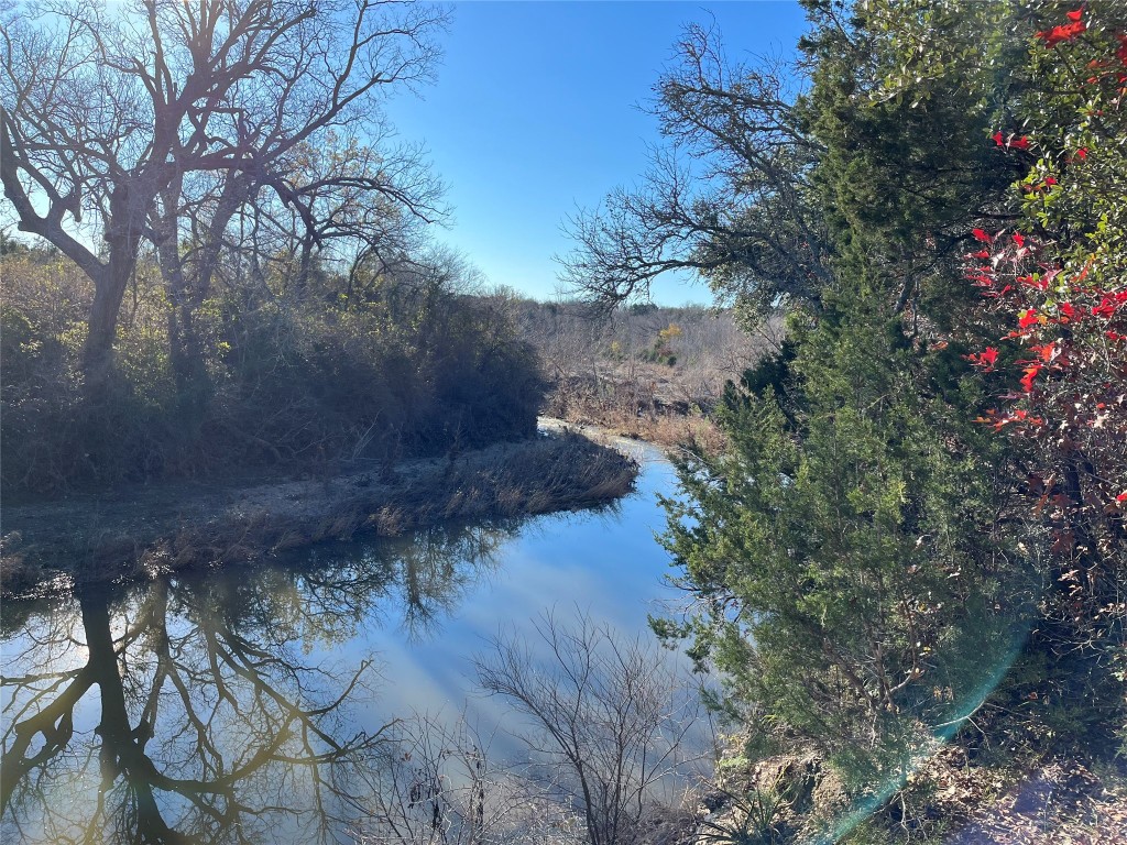 1620 San Gabriel Ranch Road Liberty Hill, TX 78642 - Photo 30 of 34 a view of a yard with a tree