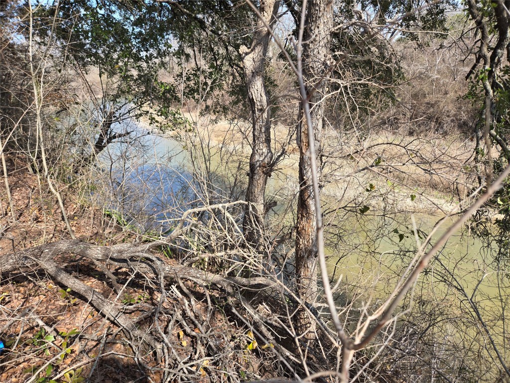 1620 San Gabriel Ranch Road Liberty Hill, TX 78642 - Photo 31 of 34 a backyard of a house with lots of green space