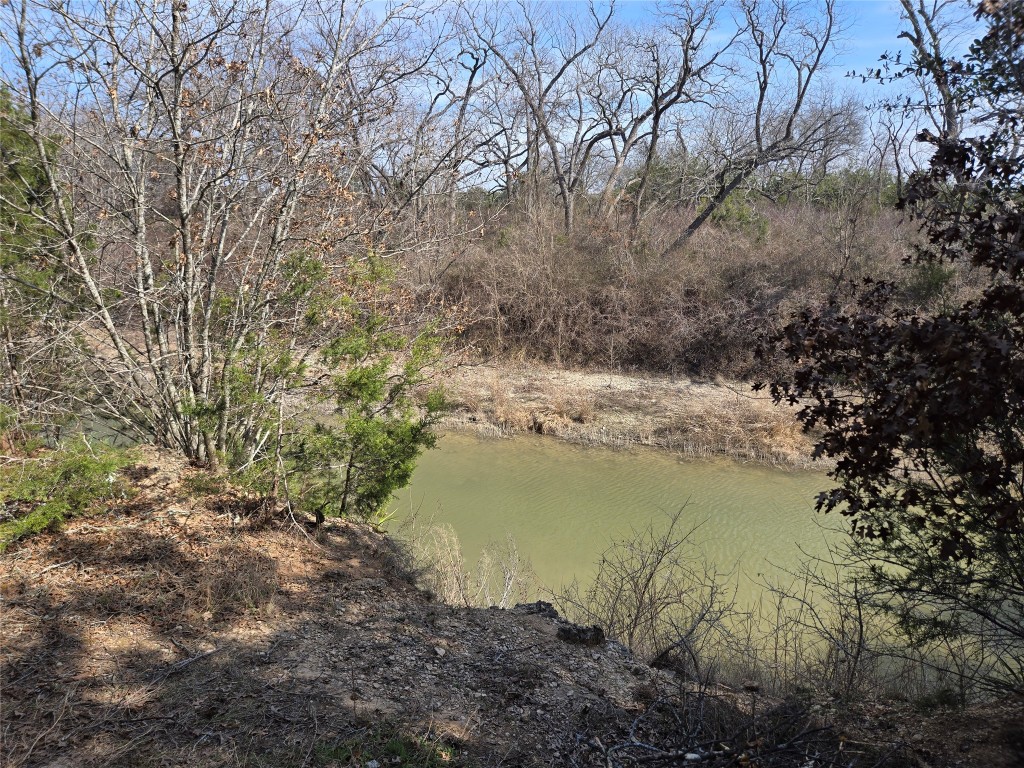 1620 San Gabriel Ranch Road Liberty Hill, TX 78642 - Photo 32 of 34 a view of lake with mountain
