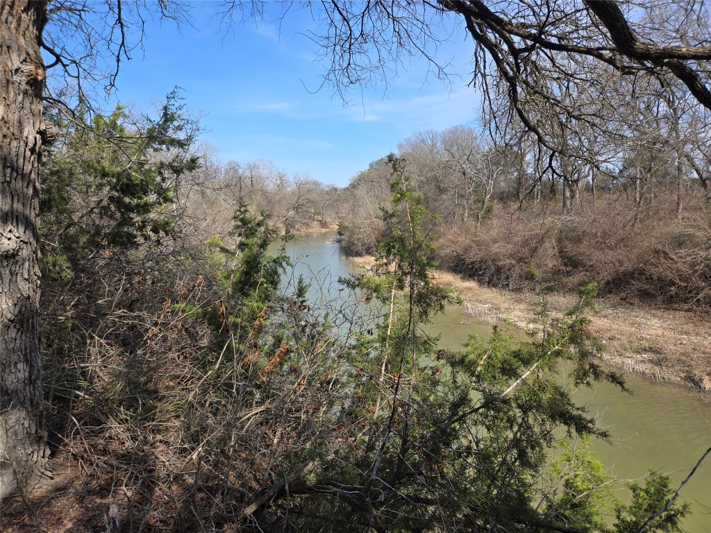 1620 San Gabriel Ranch Road Liberty Hill, TX 78642 - Photo 34 of 34 a view of a forest of a house