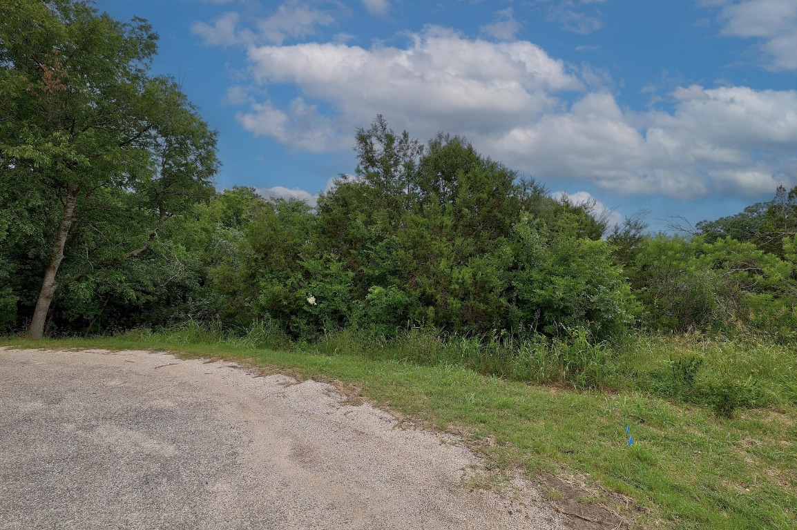 1620 San Gabriel Ranch Road Liberty Hill, TX 78642 - Photo 8 of 34 a view of outdoor space and yard