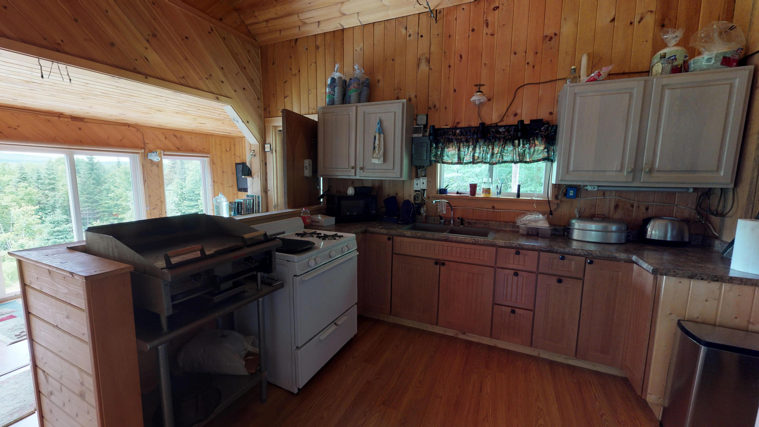 Lot 3.31 Elm Pond Road Shirley Mills, ME 04485 - Photo 11 of 32 Elm-Pond-06272019_082408