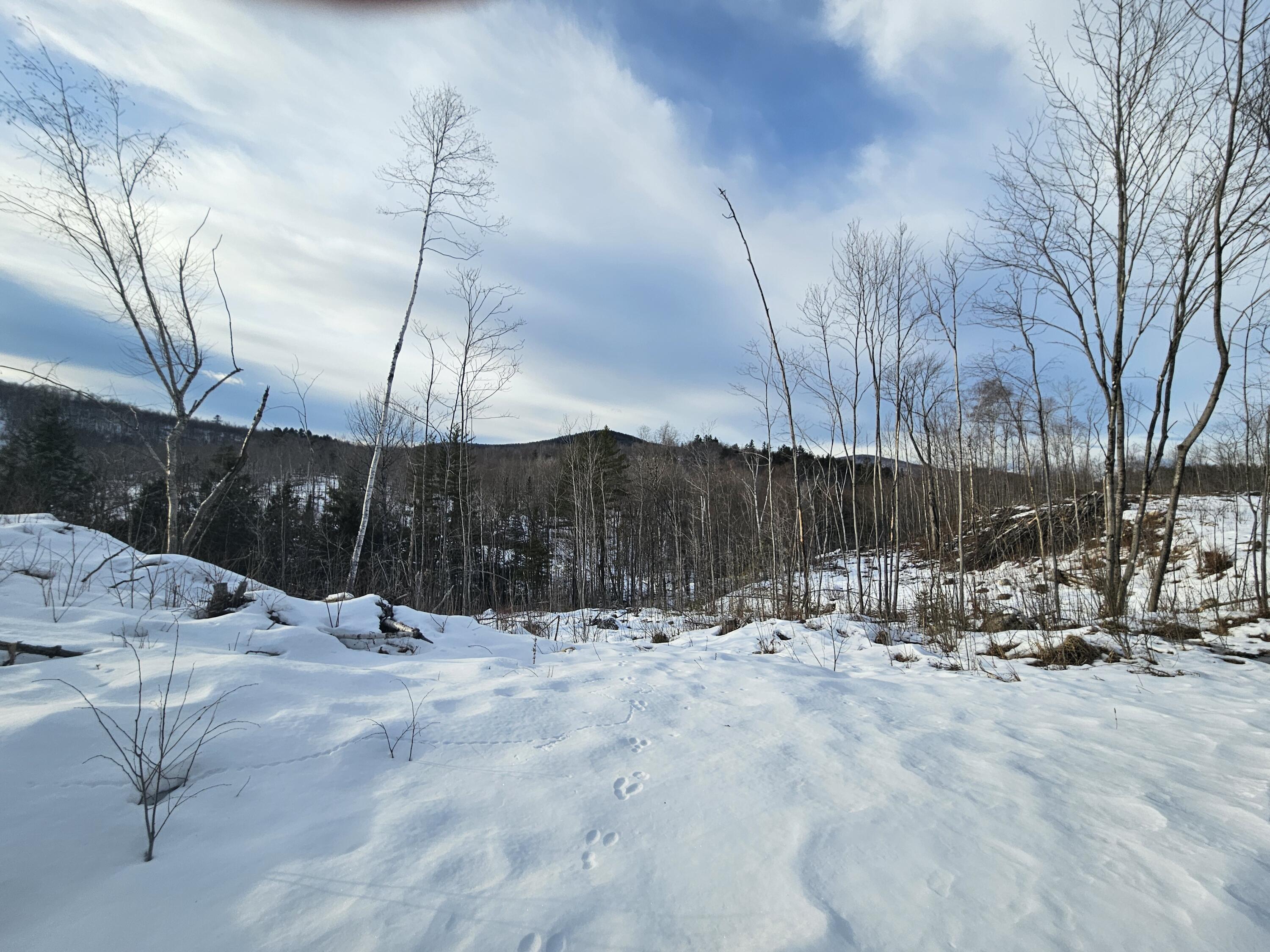 Lot #135 Pratt Road Wilton, ME 04294 - Photo 20 of 22 20250127_144929