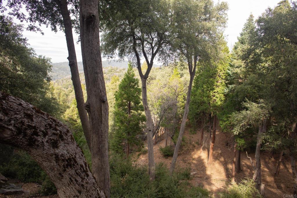 22234 Crestline Road Palomar Mountain, CA 92060 - Photo 39 of 60