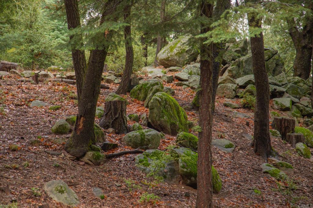 22234 Crestline Road Palomar Mountain, CA 92060 - Photo 4 of 60